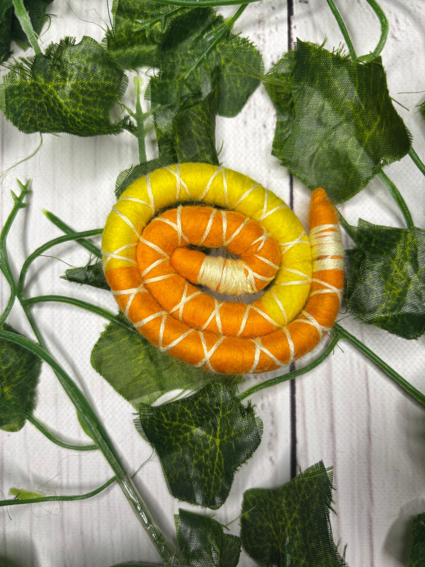 Small 30-35cm Tangelo Twist (only available for online purchase)