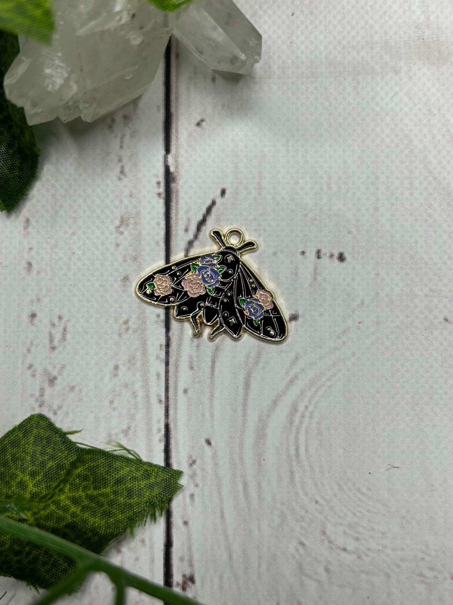 Coloured Moth / Butterfly Collection