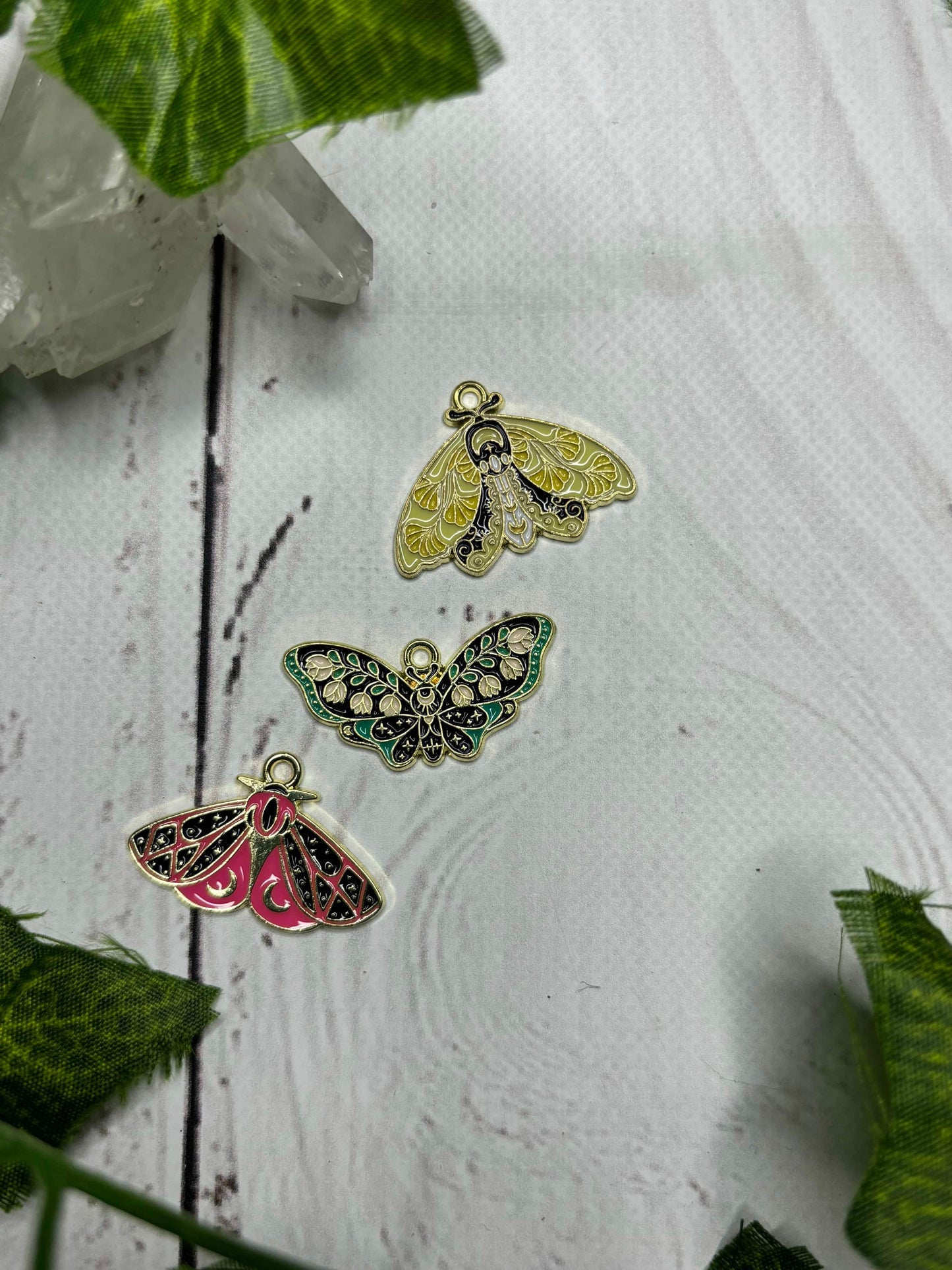 Coloured Moth / Butterfly Collection