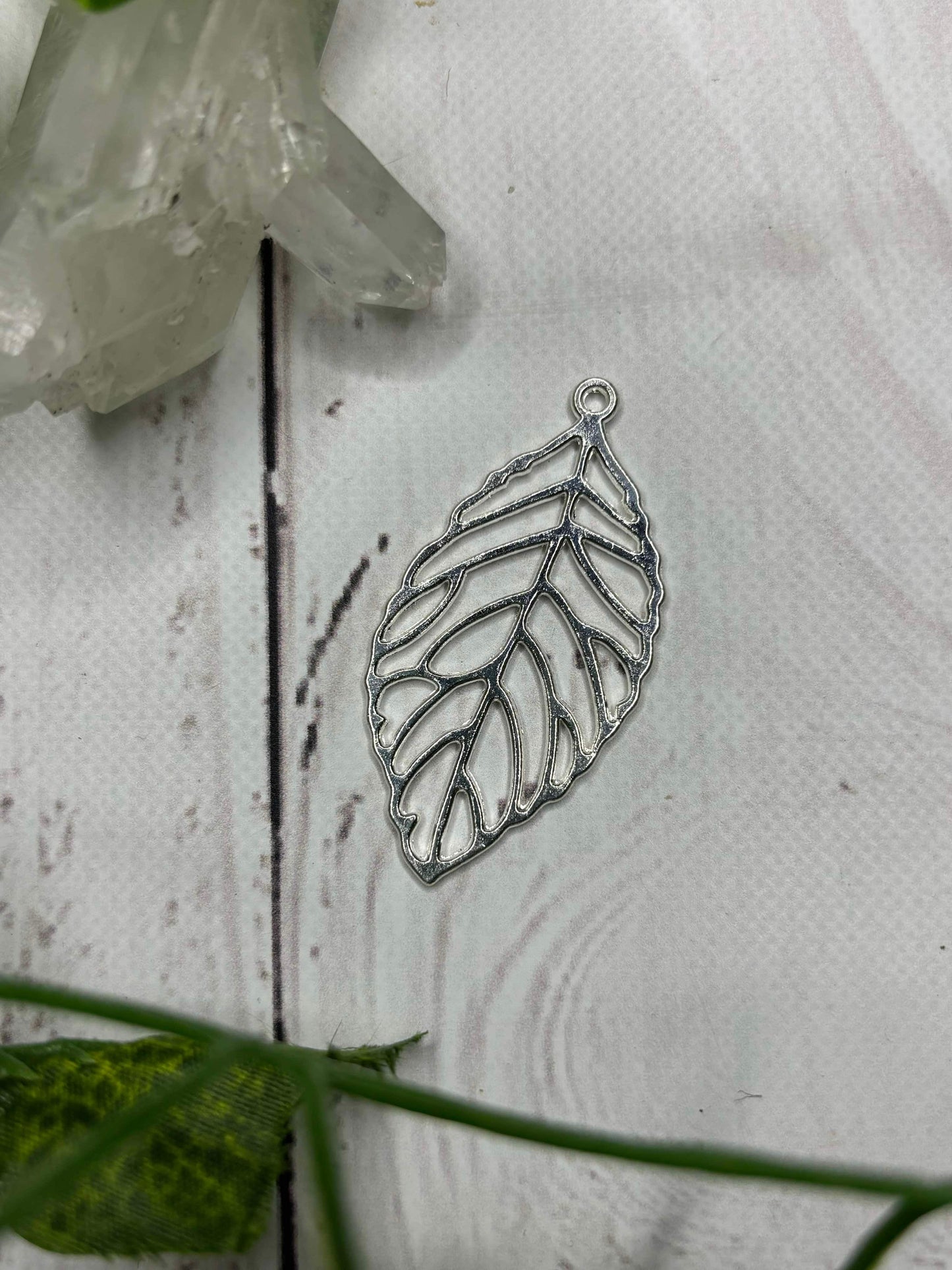 Silver Leaf