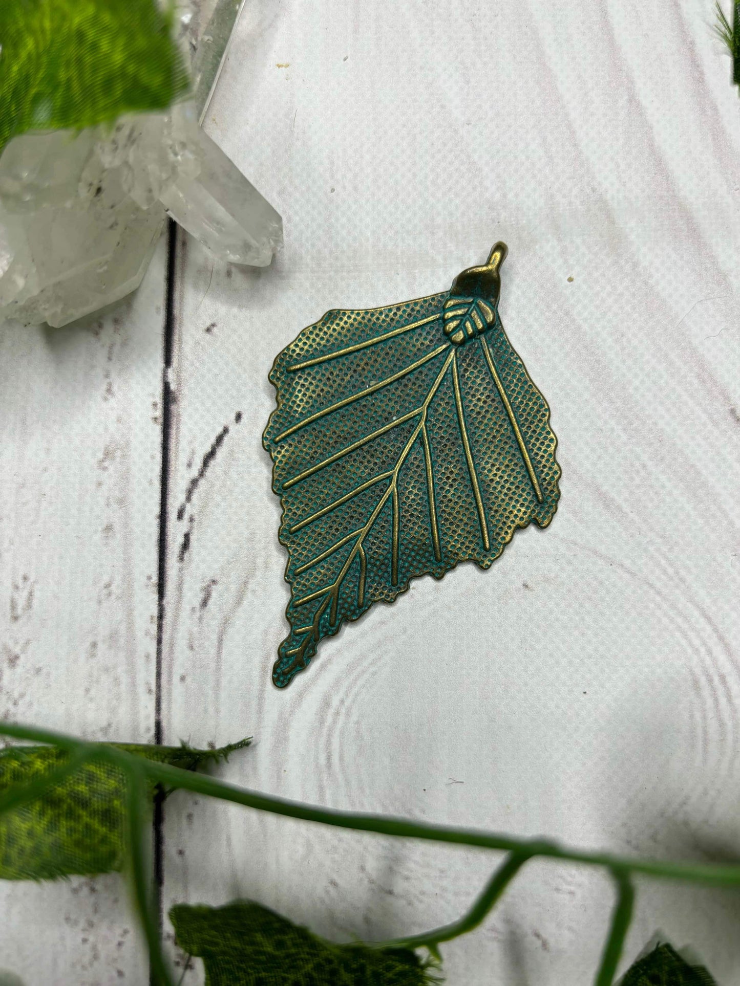 Large Green Leaf